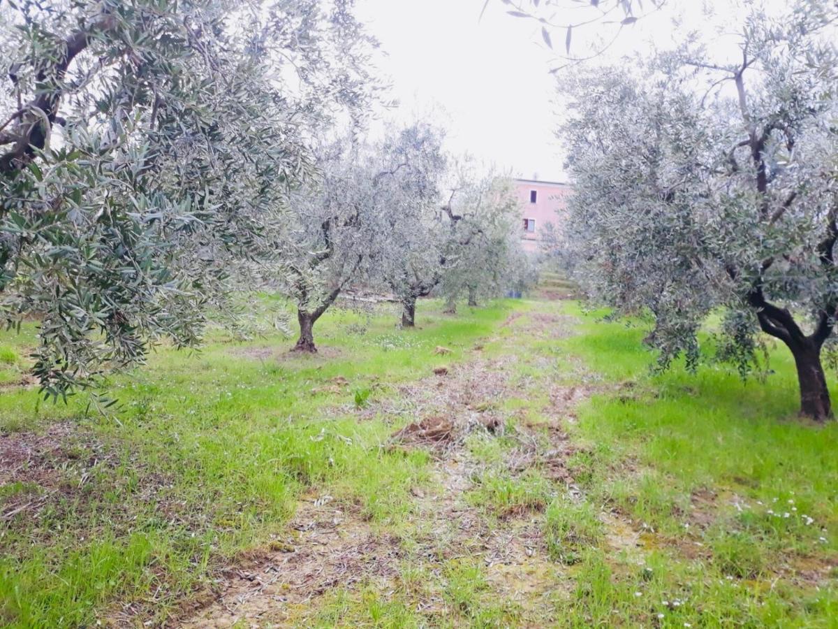 Ellebi B&B Montone  Kültér fotó